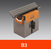 B3